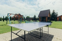 recreation center Belyye Rosy - Table tennis (Ping-pong)
