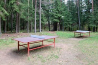 health-improving complex Isloch Park - Table tennis (Ping-pong)