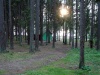 recreation center Sosnovyj bereg - Place to put up tents