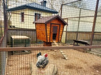 tourist complex Rinkavka - Aviary