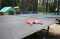 recreation center Pleschenicy - Table tennis (Ping-pong)